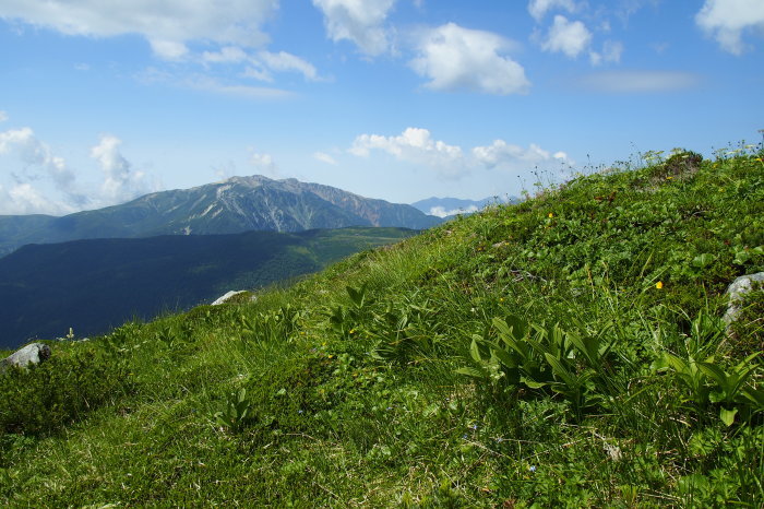e0307372_22120296.jpg