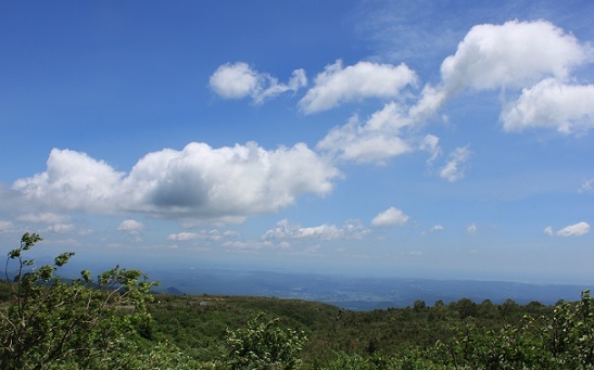 f0230777_11020332.jpg