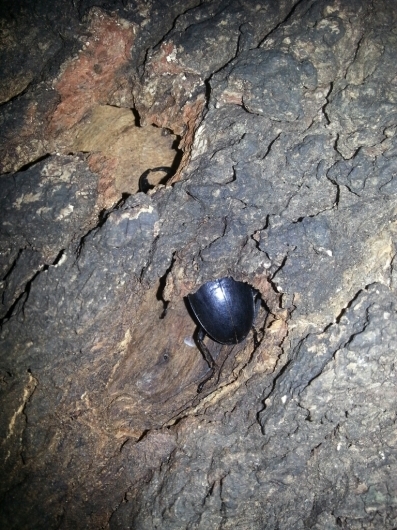 f0183484_15230921.jpg