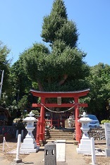 d0183387_00112090.jpg