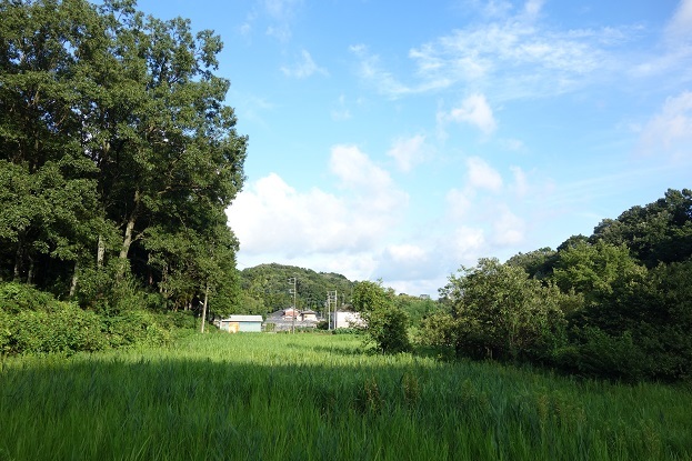 d0183387_01075915.jpg