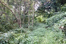 d0183387_01082151.jpg