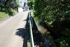 d0183387_01211154.jpg