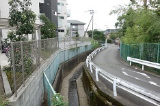 d0183387_01293493.jpg