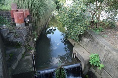 d0183387_01311493.jpg