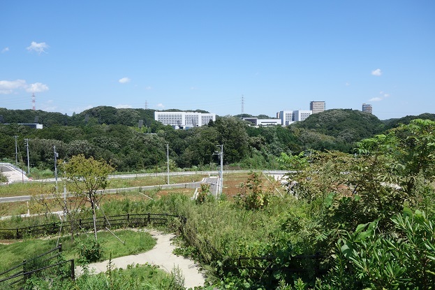 d0183387_19541979.jpg