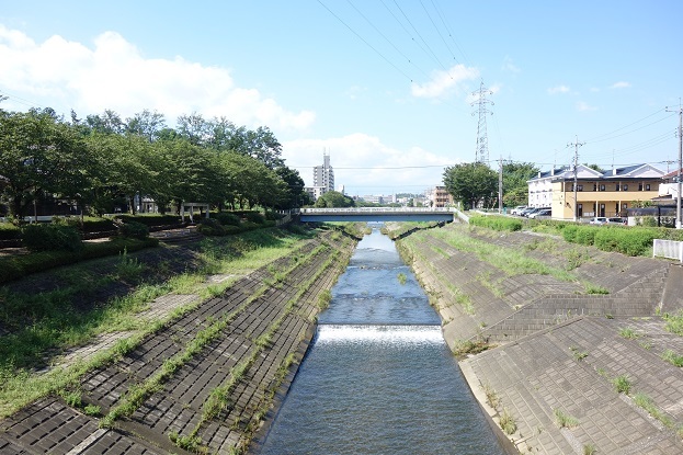d0183387_20290997.jpg