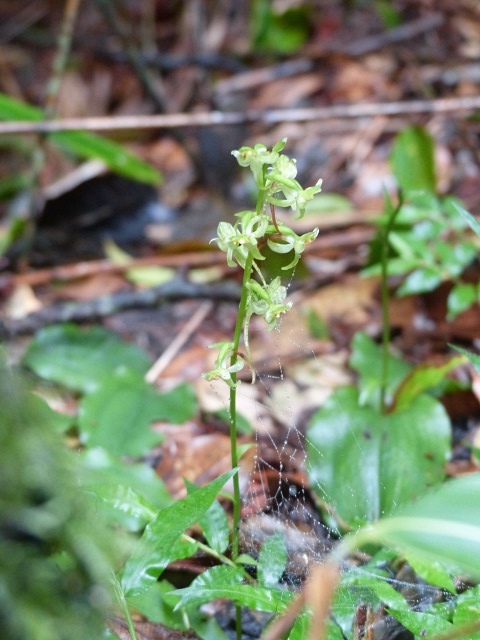f0357487_21244176.jpg