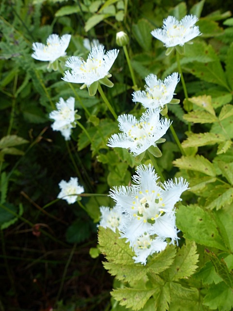 f0357487_2144337.jpg