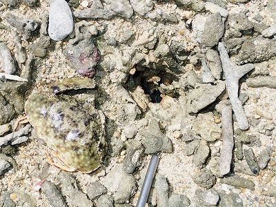 f0338188_8252987.jpg