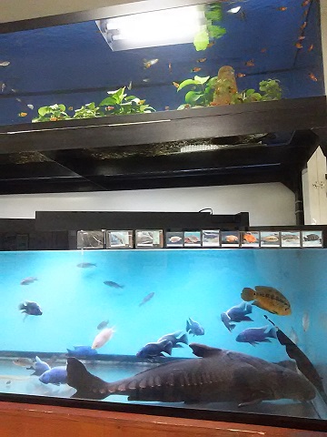b0266191_1052338.jpg