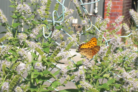 b0169292_2134762.jpg