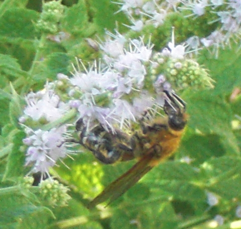 b0169292_2143255.jpg
