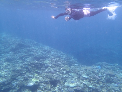 e0067595_23144167.jpg