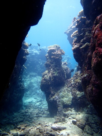 e0067595_2315211.jpg