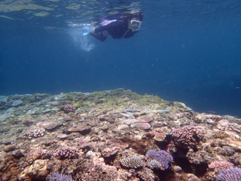 e0067595_23153267.jpg