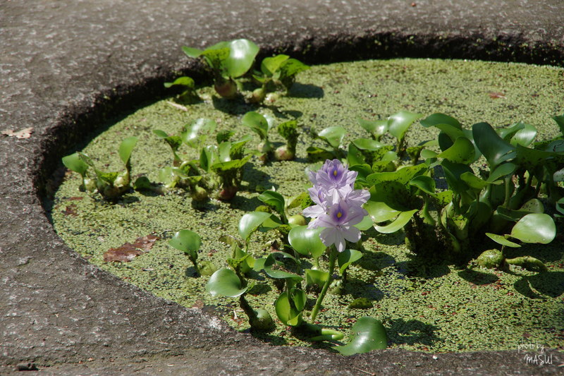 d0342307_23093573.jpg