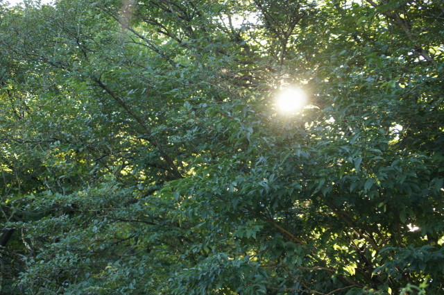 f0327308_07502487.jpg