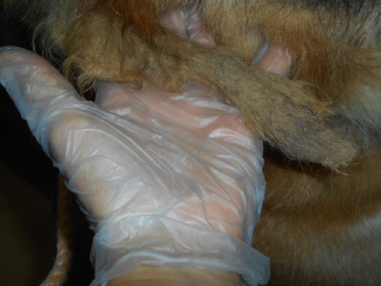 f0078320_1102127.jpg