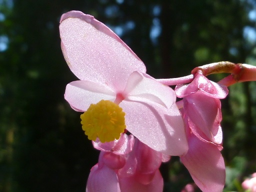 f0000521_532956.jpg