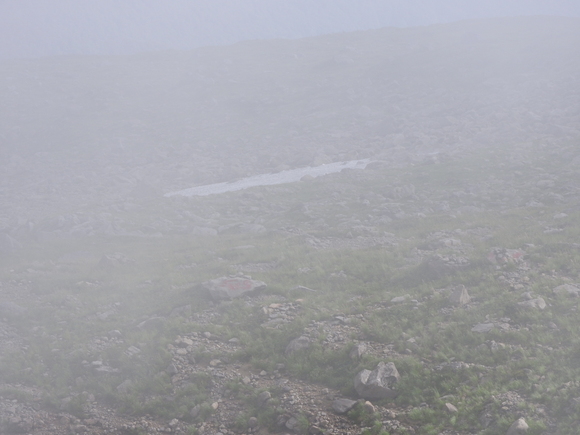 f0118332_23275163.jpg