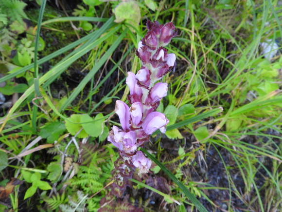 f0118332_232850100.jpg