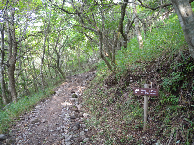 e0272335_18402773.jpg