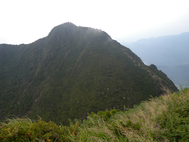 e0272335_19154720.jpg