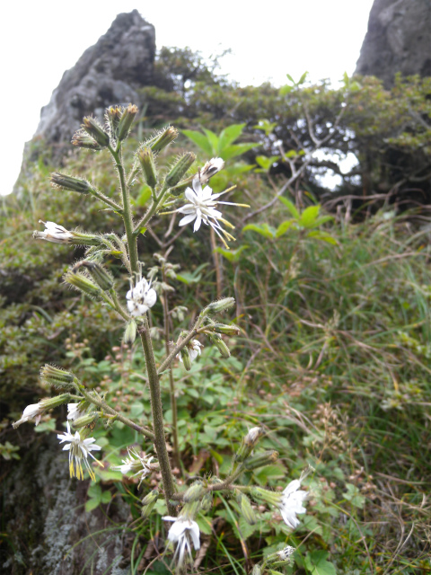 e0272335_20103093.jpg