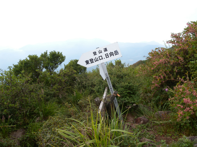 e0272335_2014882.jpg
