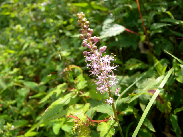 e0272335_2053646.jpg