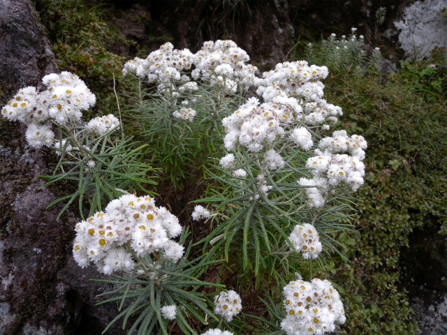 e0272335_209471.jpg