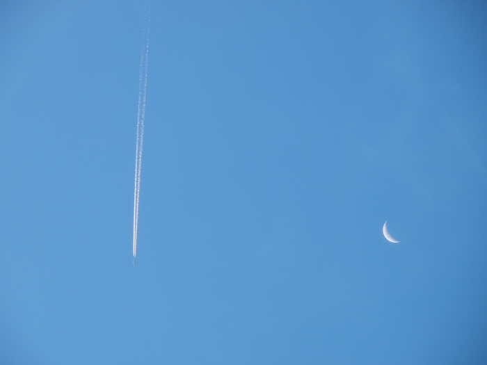 c0281841_23244466.jpg