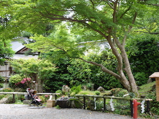 e0138350_13094498.jpg