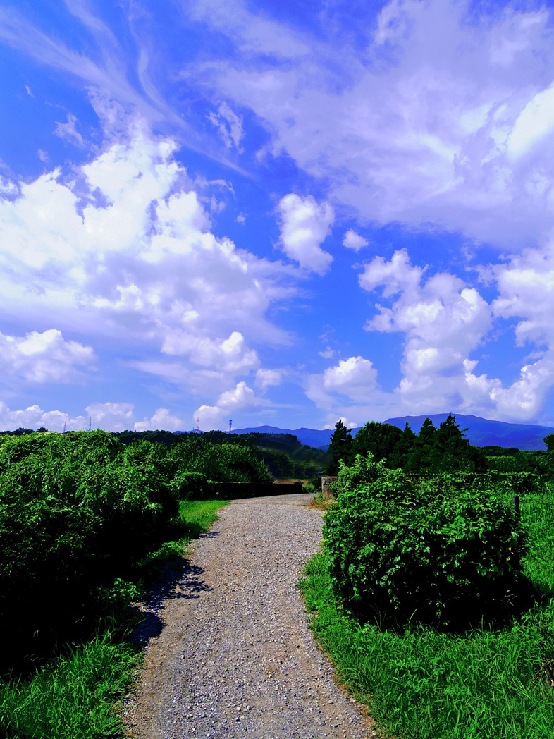 d0119451_17323172.jpg