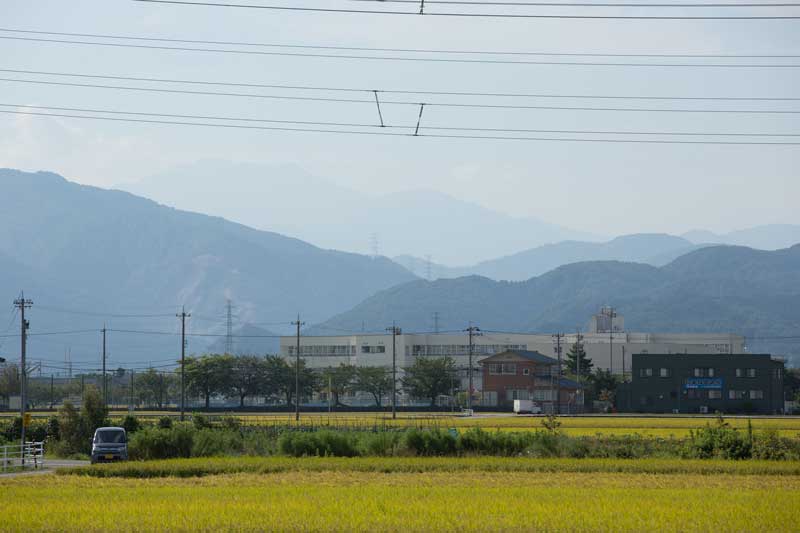 d0342652_1141819.jpg