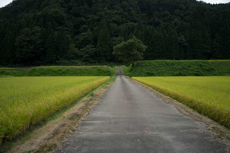 d0342652_11491714.jpg