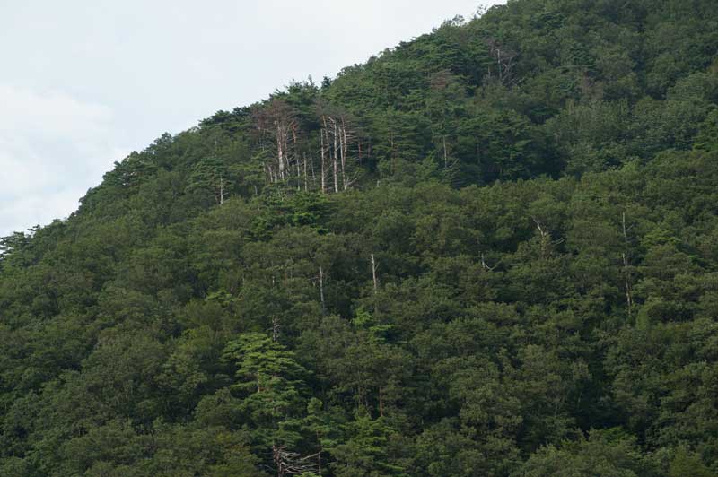 d0342652_15565881.jpg