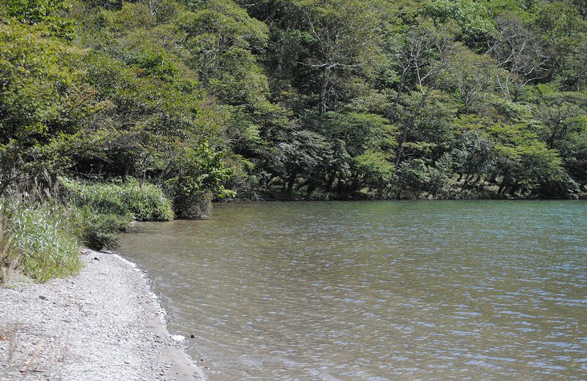 a0001354_205588.gif