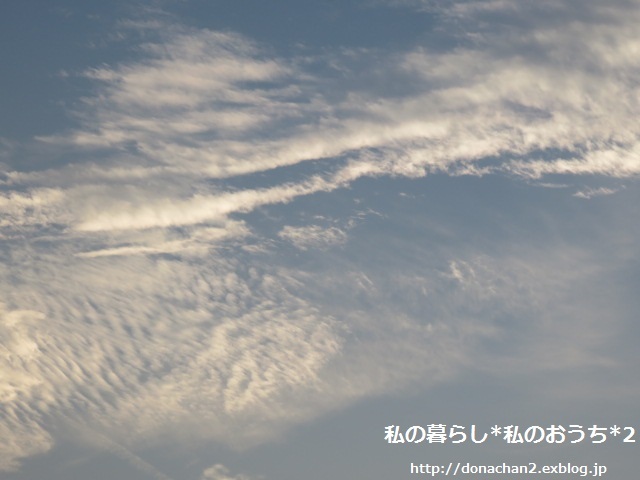 e0354456_16064982.jpg
