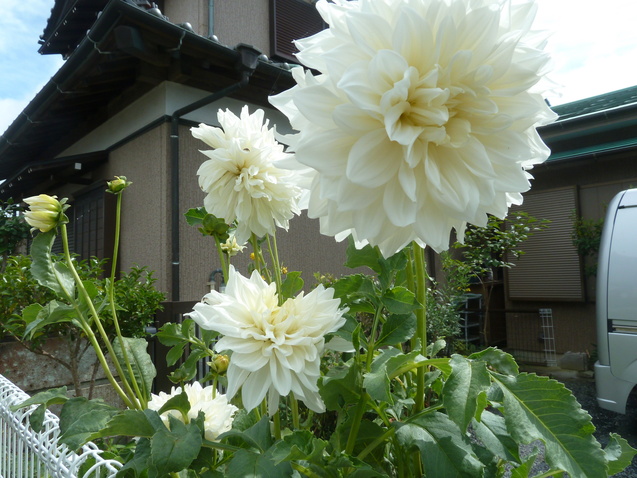 e0278968_2158176.jpg
