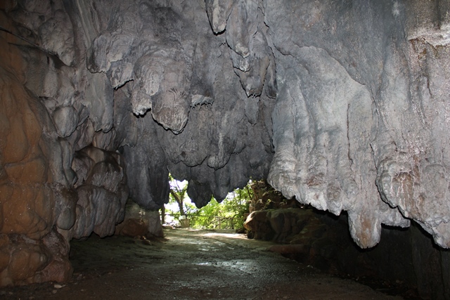 d0163575_12291559.jpg