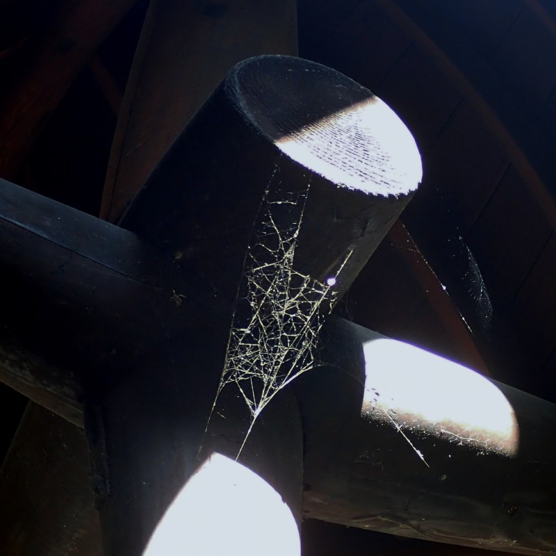 c0183777_2019127.jpg