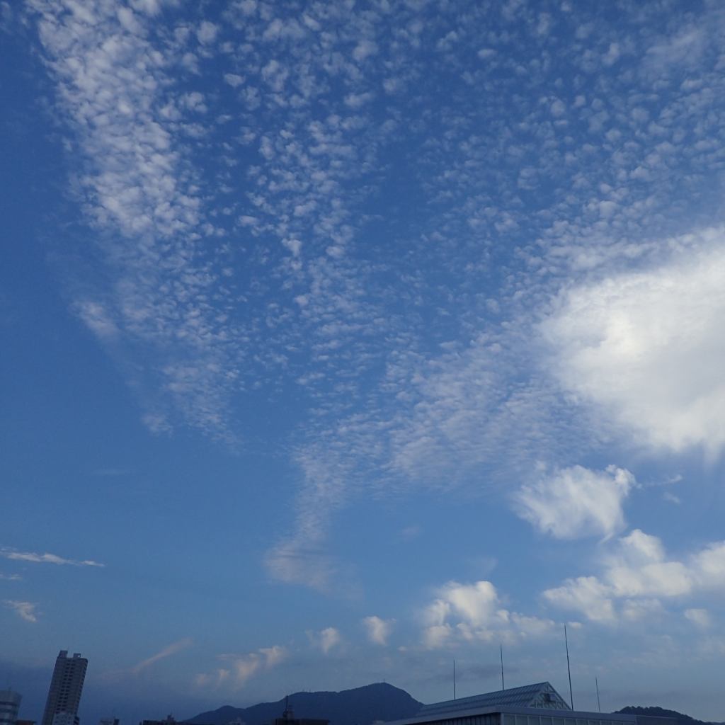 c0183777_658012.jpg