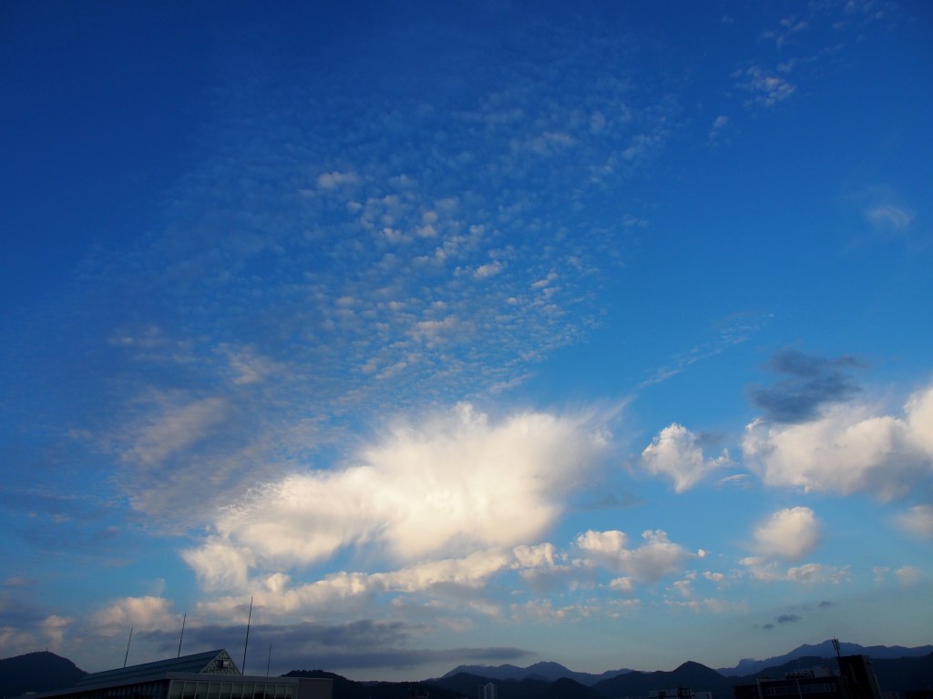 c0183777_658545.jpg