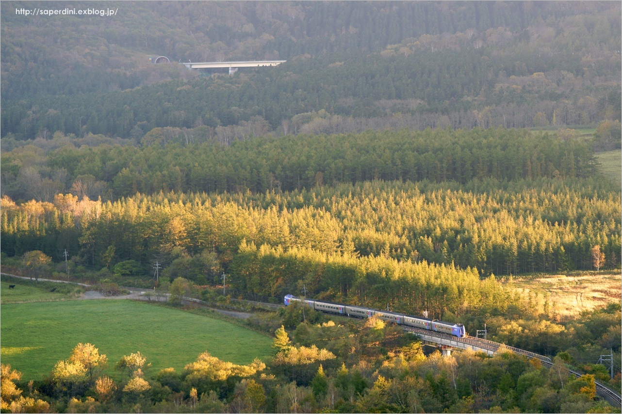 f0242684_11472142.jpg