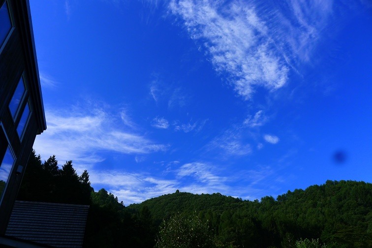 a0130586_9102818.jpg