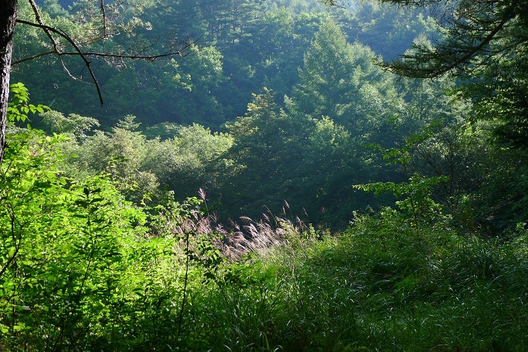 a0130586_9182574.jpg
