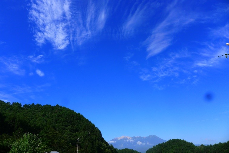 a0130586_983545.jpg