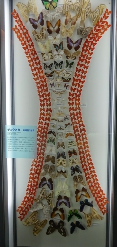 f0166694_21360184.jpg